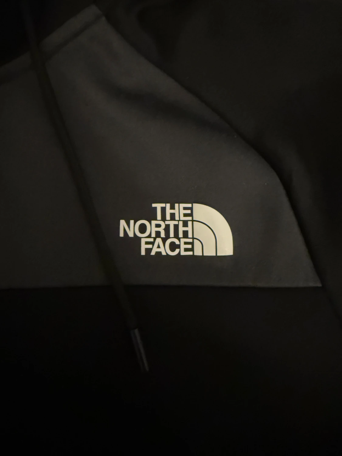 North face hoodie - 2