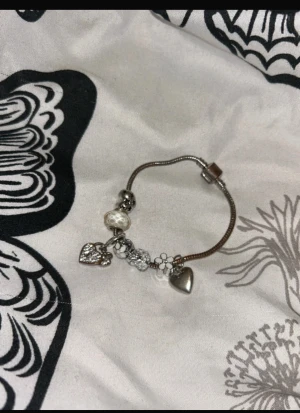Silverfärgat charmarmband med hjärtan - Snyggt silverfärgat armband med flera olika berlocker, bland annat glittrande hjärta, blommor och pärlor. Kedjan är tunn och smidig, och berlockerna ger en personlig touch. Perfekt för dig som gillar att mixa och matcha accessoarer. Men som ni ser är den är rostad 