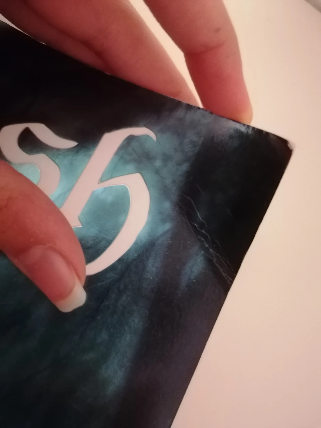 Ash - Malinda Lo - 3