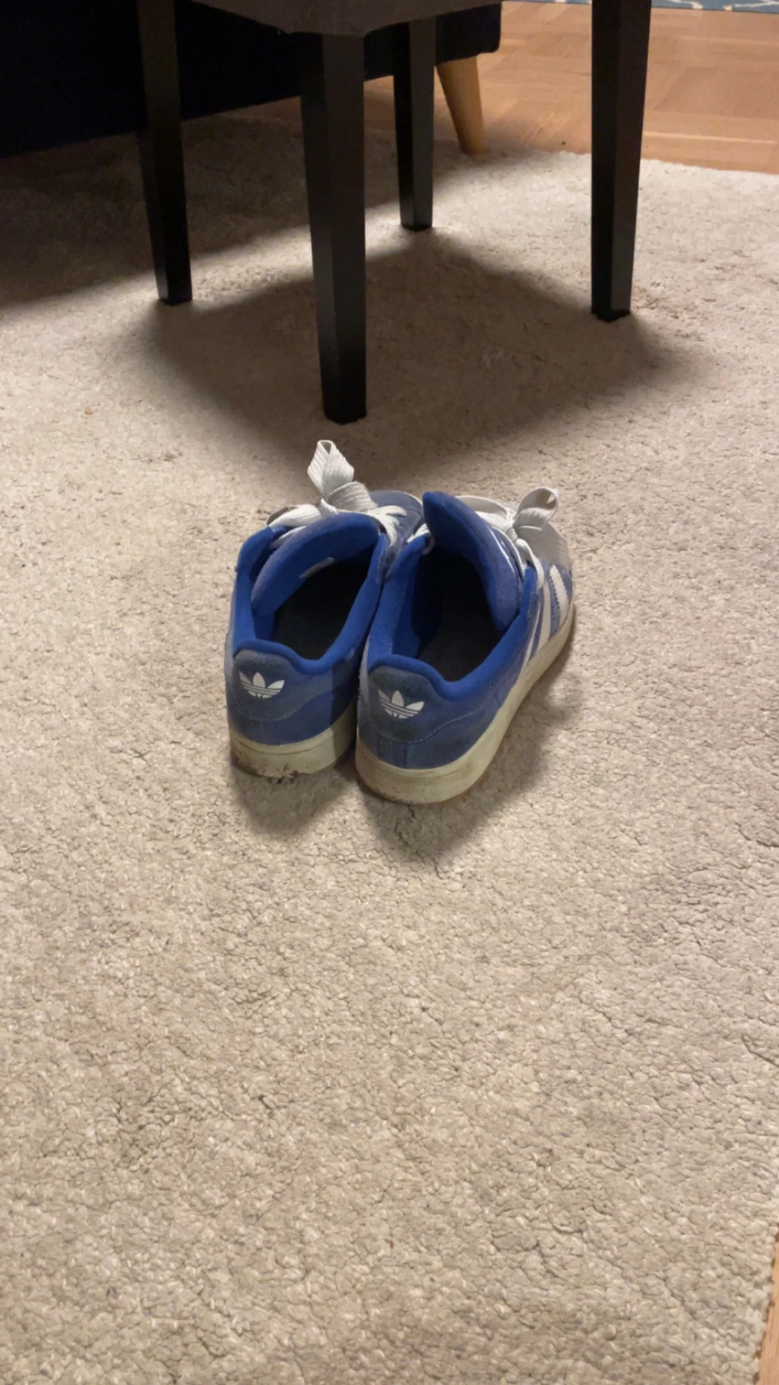 Adidas Campus blå sneakers - 1