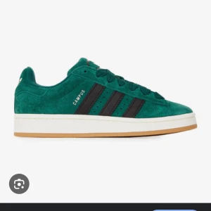 Adidas Campus gröna sneakers mocka - Adidas Campus sneakers i herrstorleken 36. Storleken passar också till en kvinna med storlek 37. Skorna är nästan helt nya. Dem har använts lite men har inga skador eller slitage på sig alls. Skriv till mig för bilder på skorna om du är intresserad.