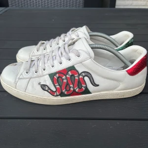 Gucci ace - Gucci ace skor, slitna där fram därav billigt pris, går säkert att måla om, endast skorna ingår Uk 8,5/ EU 43,5