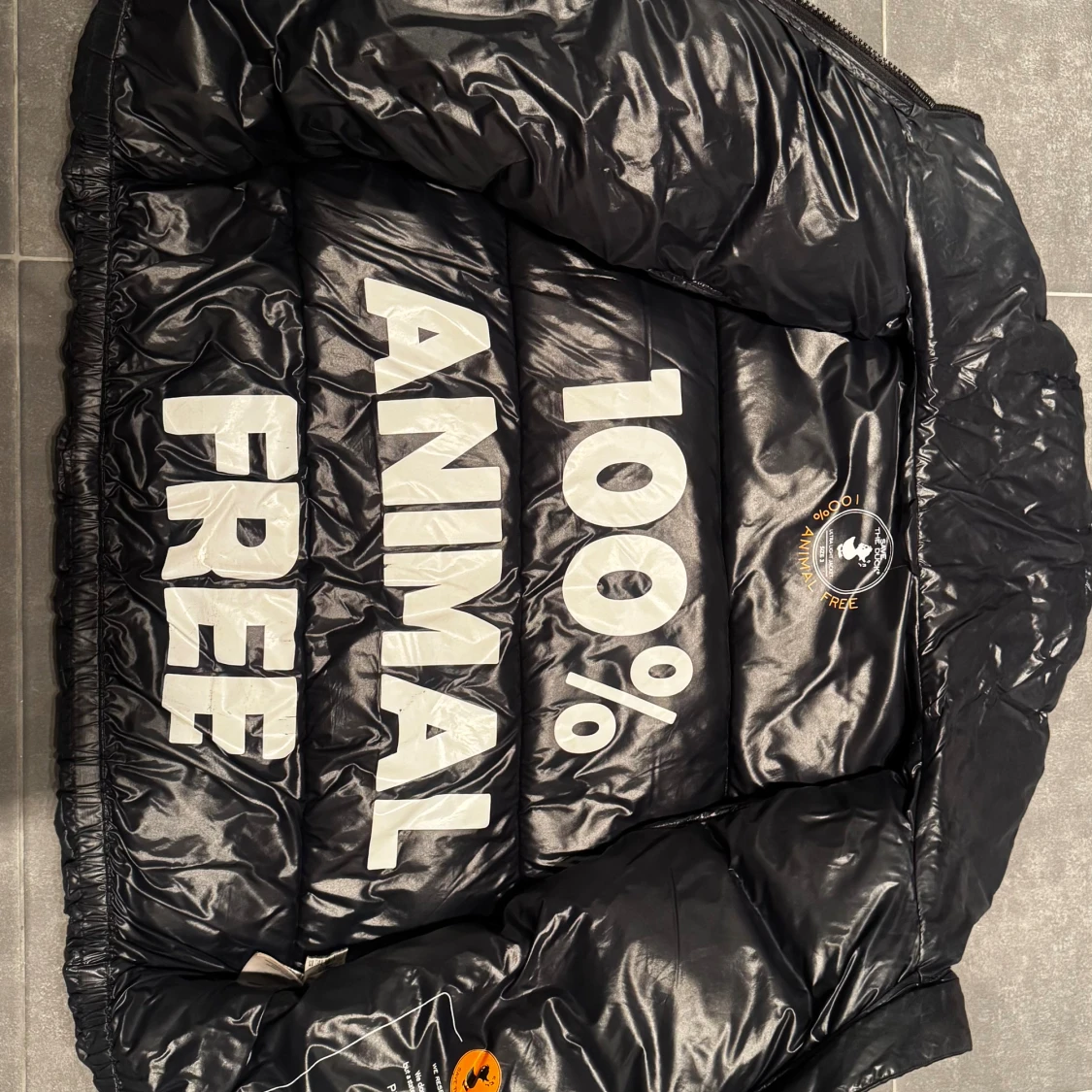 Save the duck jacka  - 2