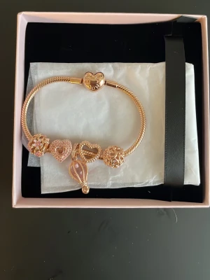 Pandora armband sprillans ny - Jätte fint Pandora armband som är helt nytt! Jag säljer det eftersom att det inte helt passar min stil. Orginär priset är 4844.Hoppas ni gillar det!
