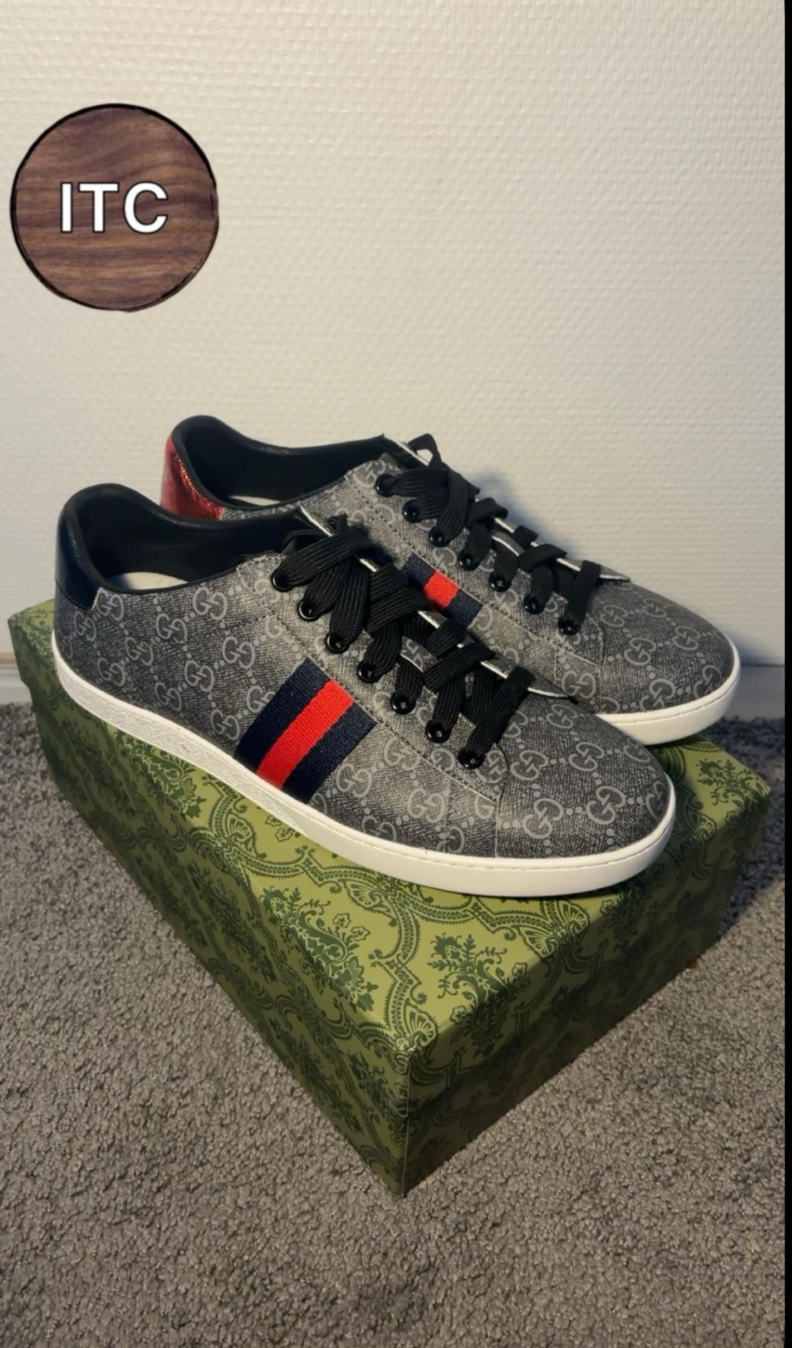 Gucci ace