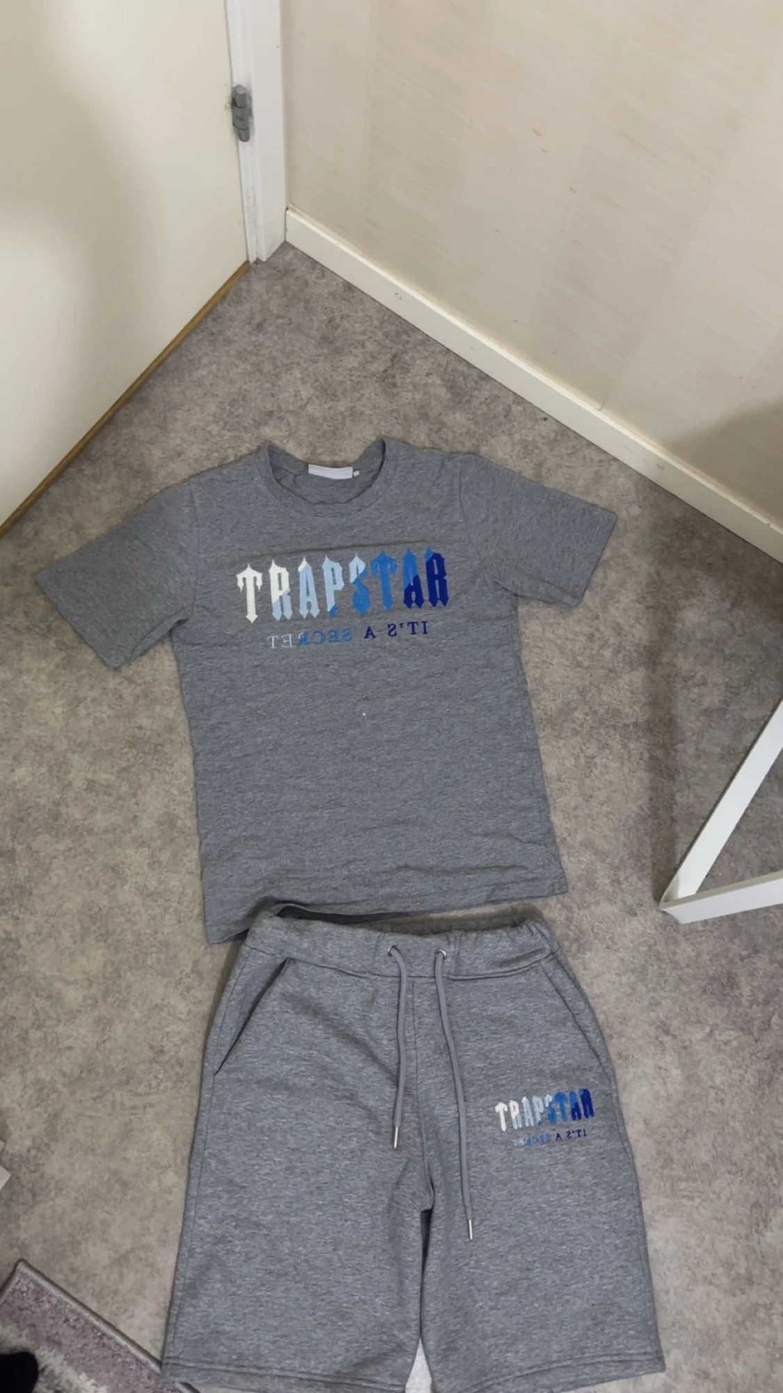 Grå Trapstar t-shirt med blått tryck