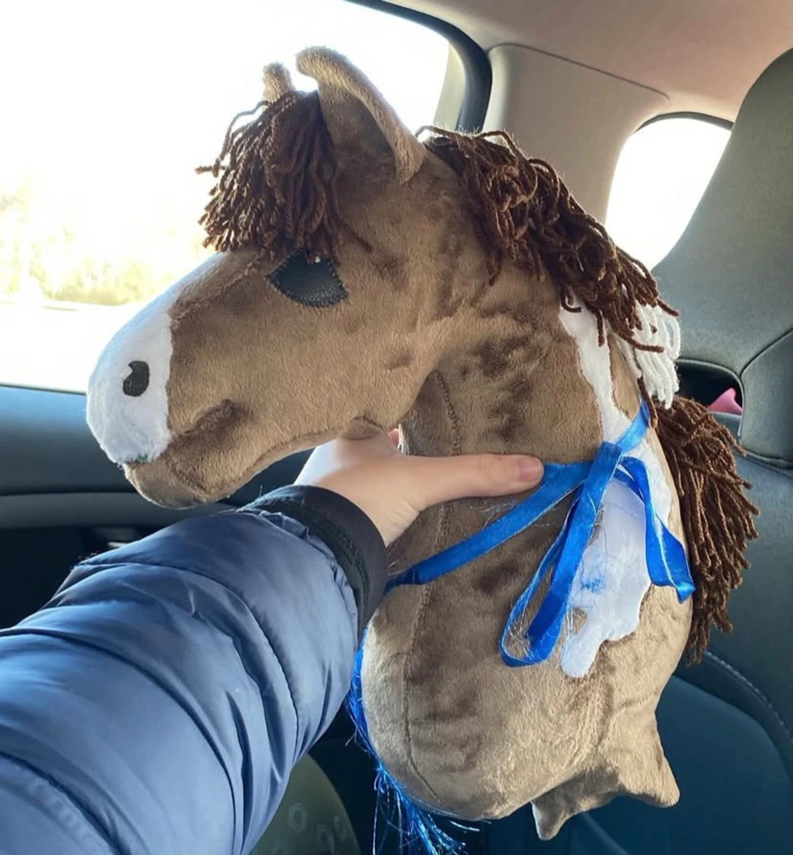 Käpphäst till salu