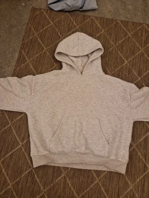 Grå hoodie - En vanlig grå hoodie