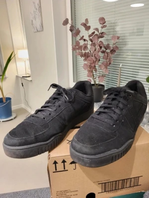 Svarta sneakers i mocka med snörning 44 - Säljer ett par helsvarta sneakers med snygg, låg profil och platt sula. Skorna är gjorda i mocka och har klassisk snörning framtill. Perfekt för dig som gillar stilrena och enkla skor med en urban vibe. Passar till jeans, shorts eller cargo pants.