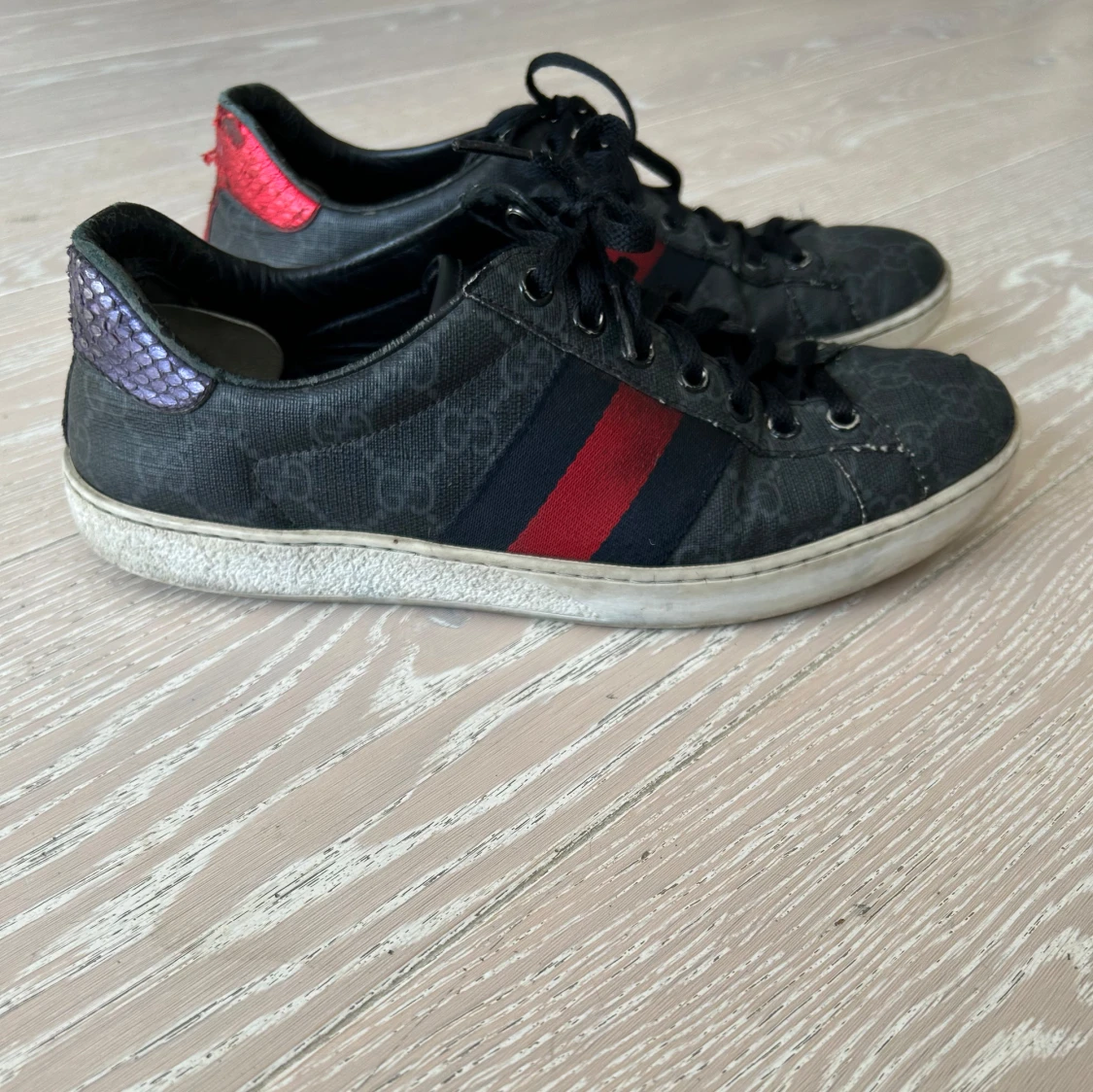 Gucci ace