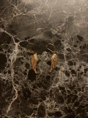 Ving formade örhängen💞💞 - Säljer ett par snygga ving formade örhängen, jag har nästan aldrig använt dom och vet inte vart dom är ifrån💞💞💞