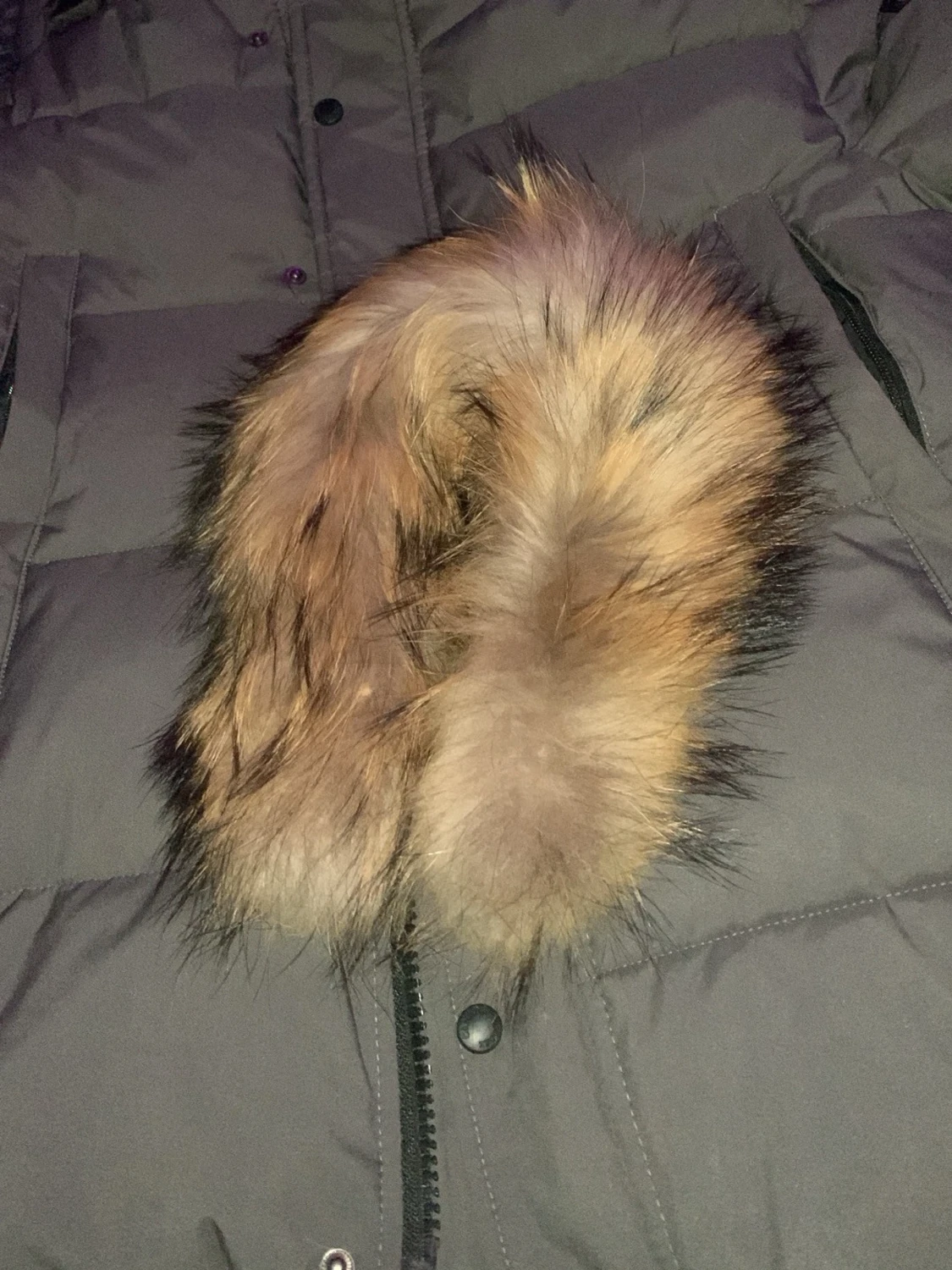 Canada Goose Wyndham jacka  - 1