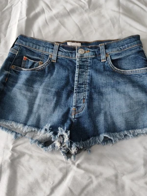 Tori Selvage Slouch Jeansshorts av Hudson, Strl 26 - Klassiska blå jeansshorts från Hudson med fransig kant. Shortsen har låg midja och slitna detaljer framtill för en avslappnad look. Perfekta för varma dagar och enkel att matcha med olika toppar.