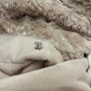 Tragus örhänge fjäril  - Utan plupp 