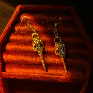 Goth örhängen - Sjukt snygga örhängen med fågel skelett!