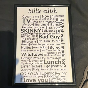 Billie eilish poster - En egendesignad Billie eilish affisch med hennes bästa låtar! Kommer endast att göra ett begränsat antal så först till kvarn gäller. 
