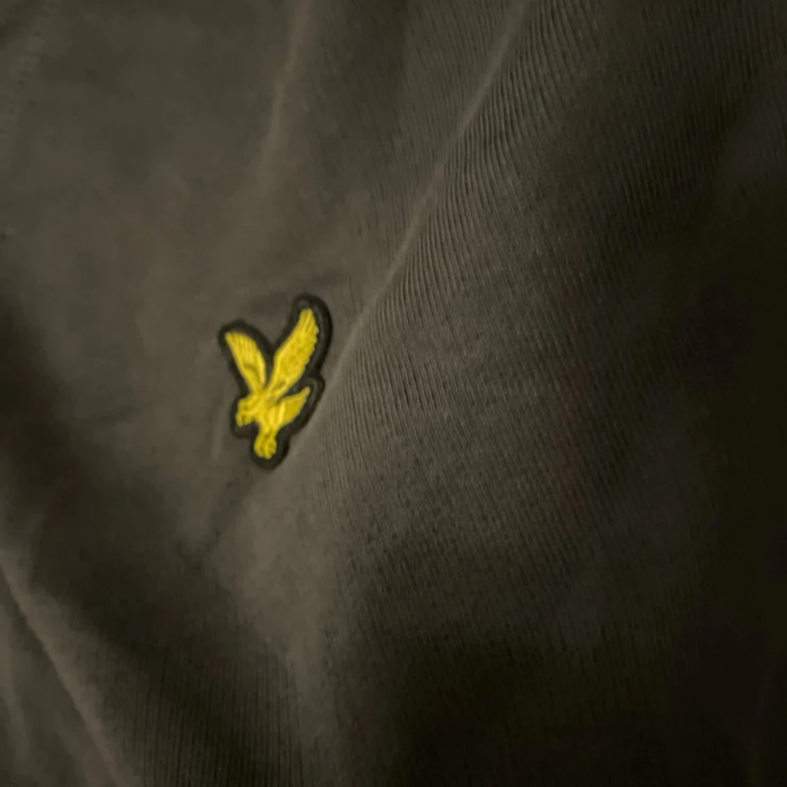 Mörkgrå sweatshirt från Lyle & Scott - 1