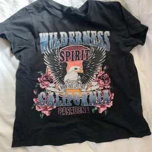 T-shirt - Grå/svart T-shirt från Gina Tricot, storlek XS. Säljer pga att den är för liten för mig🖤