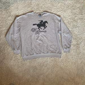 Amerikansk sweatshirt från Lee, vintage sliten och solblekt.