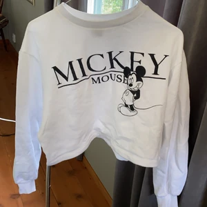 Mussepigg tjocktröja - Tjocktröja ifrån zara, sparsamt använd. Köpare står för ev. frakt