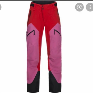 Peak skidställ - Ett skidställ från peak! Originalspris 10 000kr, kollar vad nån kan vilka köpa det för❤️💗 superfint skick !