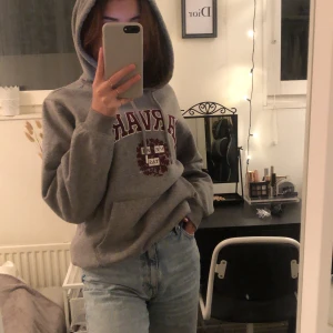Hoodie - Säljer en trendig och suupermysig hoodie som jag tror är slutsåld. Passar till vilka jeans och väskor som helst! Använt försiktigt, är alltså som nyskick! Skriv till mig privat för övriga frågor 💕