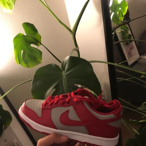 Nike Dunk Low UNLV - Nike Dunk Low UNLV  Size 38  Brand New  Price: 1899 SEK