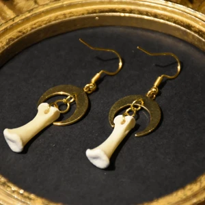 Örhängen ben  - Örhängen med guldiga halvmånar och små ben. Nickelfria krokar. 