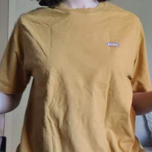 Tshirt från Dickies. Köptes på Carlings för ungefär 1 år sedan. I bra skick och kvalitet är bra samt mysig. Köparen står för frakten!