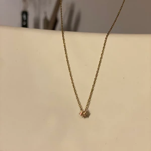 Halsband från Edblad  - Supersött halsband från Edblad med liten champagne färgad Sten och guldig kedja. Helt nickelfritt i rostfritt stål. Stilrent och snyggt! Frakt 13kr. 