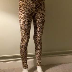 Jättefina Ragdoll LA leggings i leopardprint. Skönaste tightsen att ha hemma! Storlek XS. Nyskick ⚡️ 90% bomull, 10% elastan. Nypris: 99€ / ca 1000kr, mitt pris: 300kr!!  Skickas med postnord spårbart, 66kr. Messa för frågor eller fler bilder! 💕