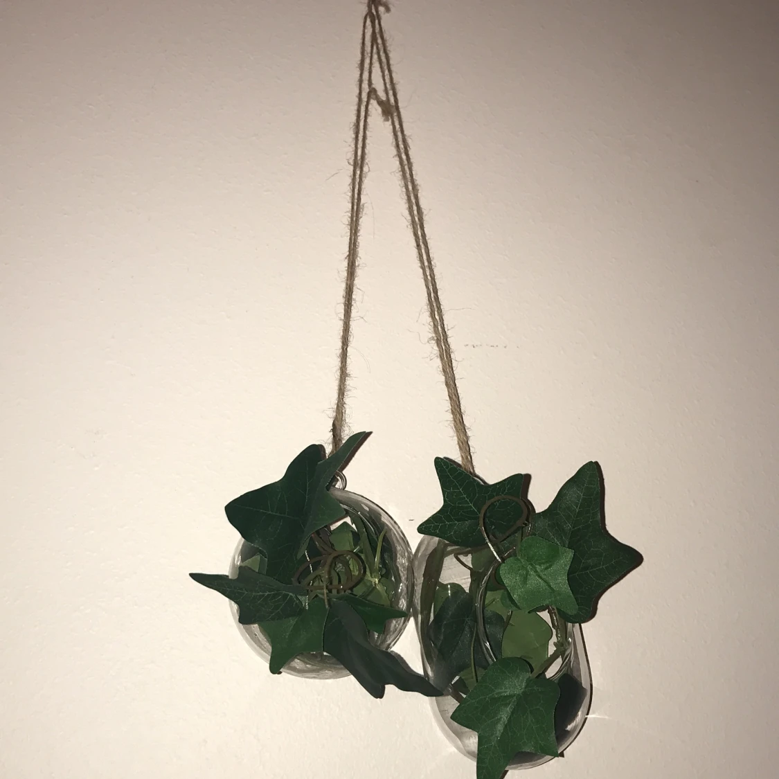 Växt dekoration säljes!  - 91