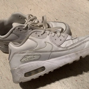 Nike Air Max - Bra skick 