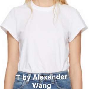 Jättefin body som ser ut från en T-shirt från T by Alexander Wang i storlek xs. Nypris ligger runt 600 kr. Använd max 2 gånger, jättefint skick och i princip som ny 🌼🌸 Kom gärna med egna bud! 