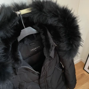 Cedrico Monet - Cedrico Monet jacka i storlek L, använd en halv vinter.