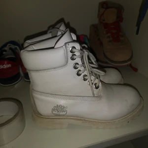 Timberland  - Str 36 limited edition 