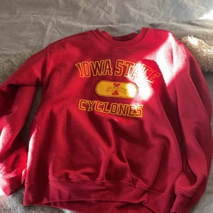 Sweatshirt från Beyond retro - Säljer denna fina sweatshirt som jag köpte från beyond retro, den är i ett bra skick och passar från XS-M. Om flera är intresserade startar jag en budgivning där man får kommentera och höja priset med 50 kronor!❤️