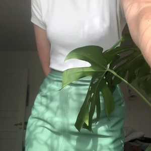 Retro kjol - Jättefin retro mintgrön kjol från second hand, typ från 50, 60-talet. Figursydd, går till knäna ungefär. 150 + frakt