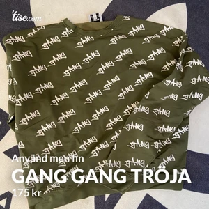 Ribecca tröja  - Gang gang tröja! Använd fåtal ggr! Skickas mot fraktkostnad 