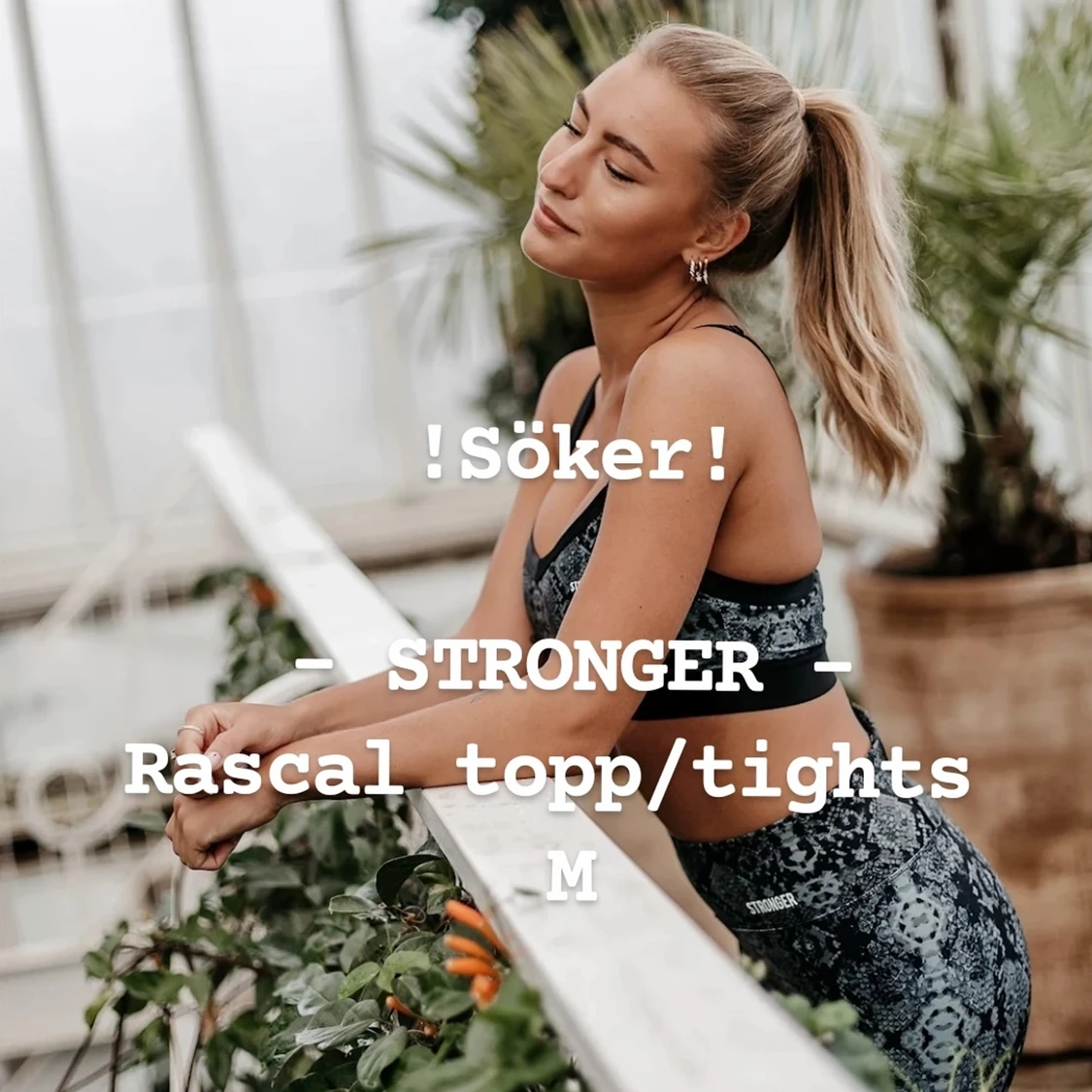 Söker rascal set från STRONGER