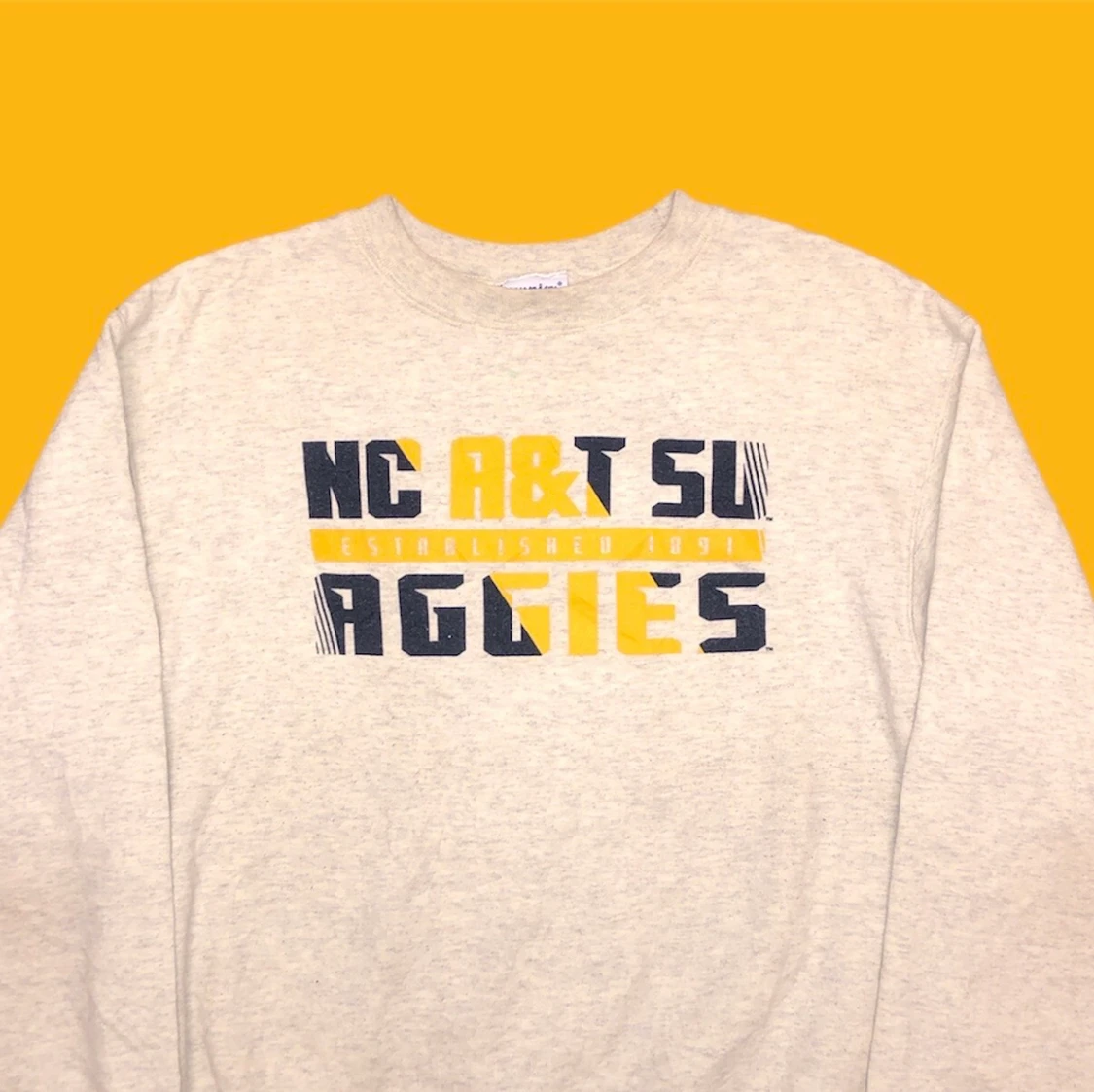 Champion Sweatshirt!! 🌱🌱 - 90