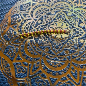 Smycken  - Finns i andra färger och pärlor du får välja 