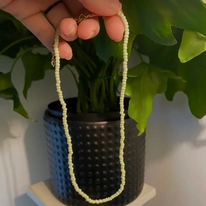 Grönt pärlhalsband - Gent pärlhalsband för 30kr+12kr frakt✨