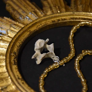 Halsband ben - Halsband med guldiga/gula pärlor och en benkota från hare. 