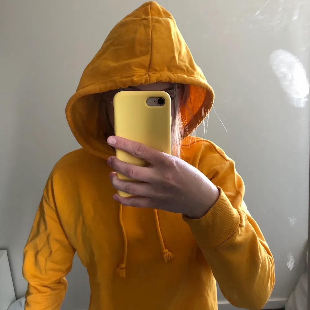 Senaps gul cropped hoodie med luva. Hoodies.