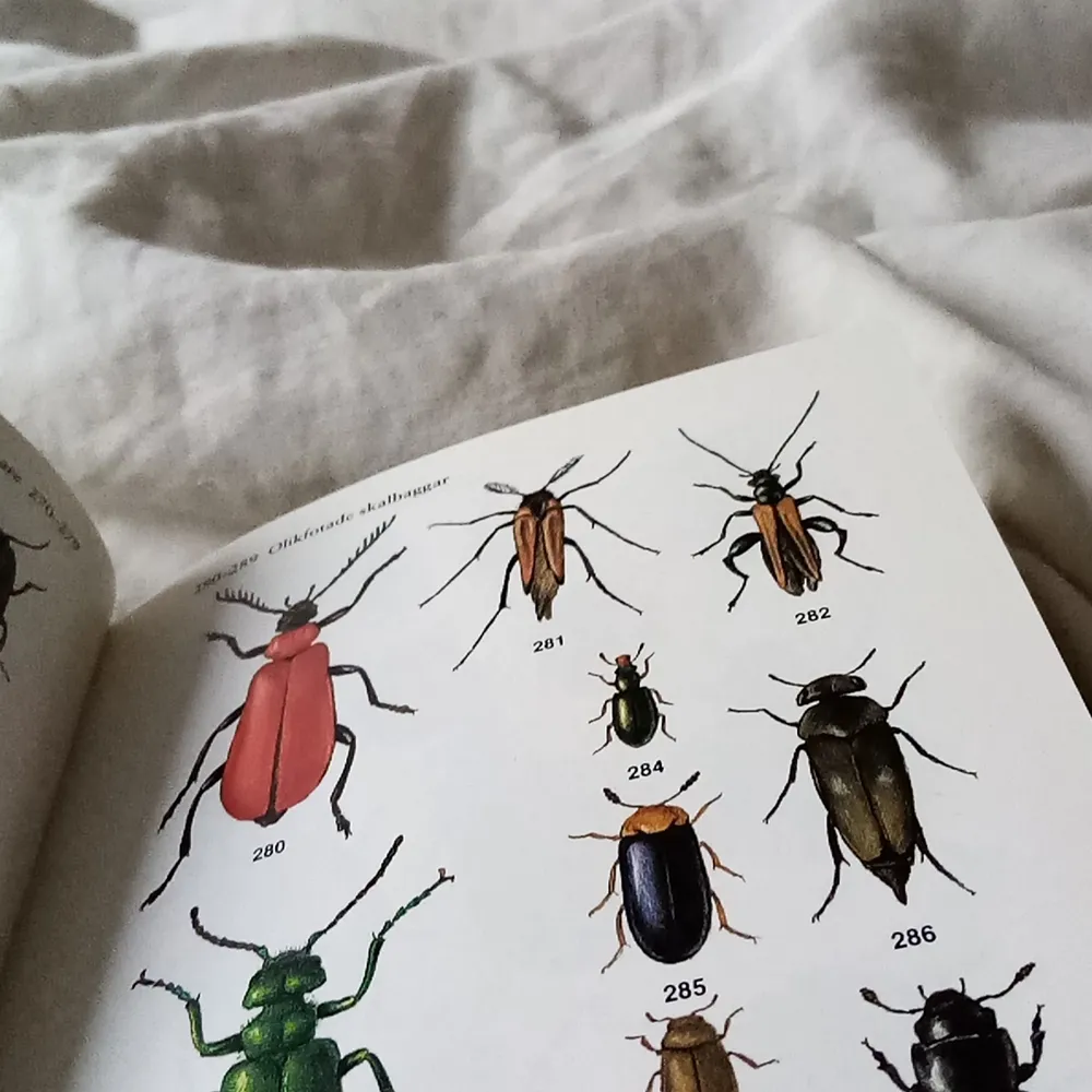 En bok som jag inte fått till användning om insekter i skogen, för mer info skriv privat. Övrigt.