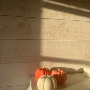 Pumpa  - Pumpa ljus  gjord av sojavax och stearin, 59kr/st