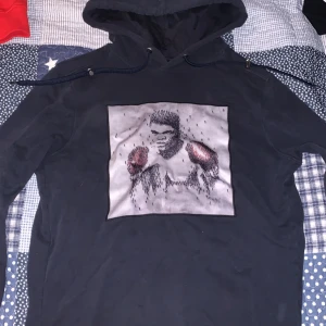 Limitato hoodie - Supersnygg limitato hoodie i storlek XS. Inga som helst fel på den, 10/10 condition. Kan tänka mig gå ner i pris vid snabb affär