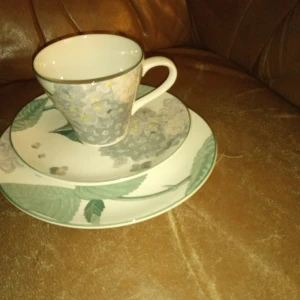 Set, Assiett,fat,kopp Sango The Larry Lazlo . - Fint set assiett ,fat,kopp Sango The Larry Lazlo .inget slitage finnes .hämtas i Skene alt skickas o köpare betalar frakten o Swishbetalning tillämpas.frakt ingår i priset .  