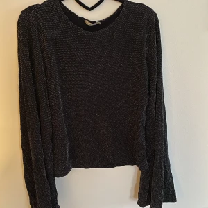 Glittrig topp. - Fint skick. Pris exl. Frakt. Betalning innan leverans. 